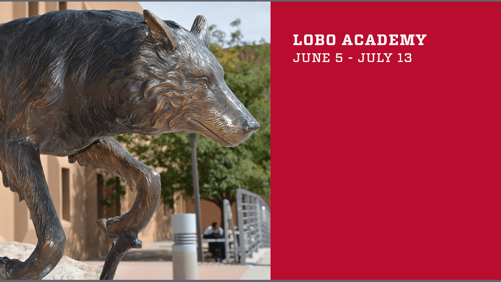 Lobo Academy
