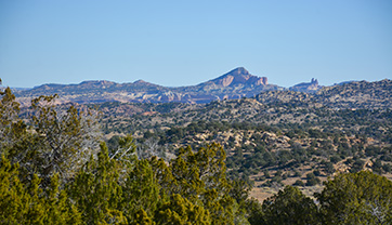 Building community resilience