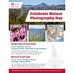 Employee Group Hike