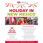 Holiday in New Mexico
